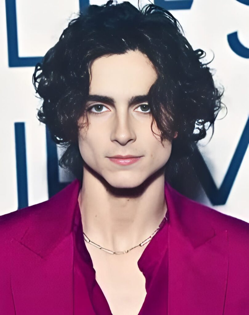 Timothée Chalamet